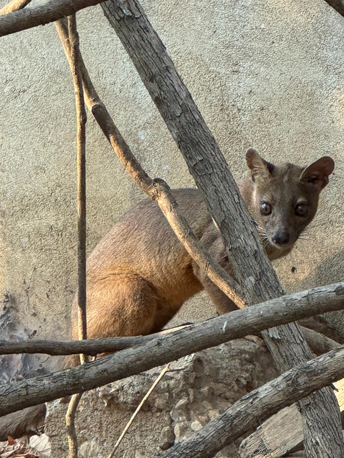 Descente sur Tsiribihina - Madagascar