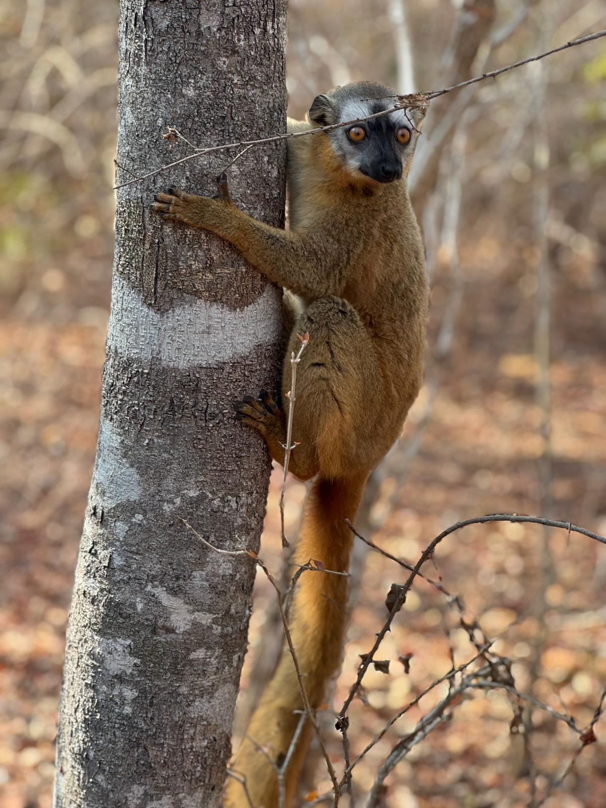 Descente sur Tsiribihina - Madagascar