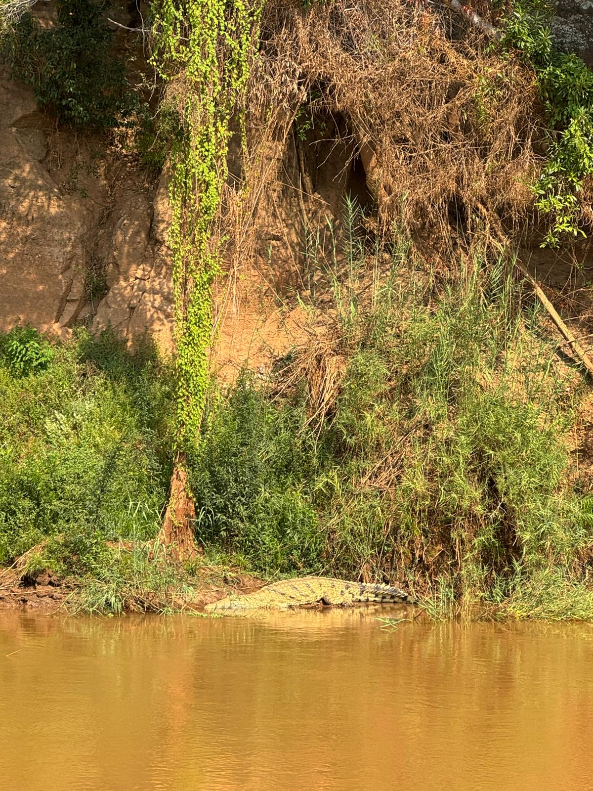 Descente sur Tsiribihina - Madagascar