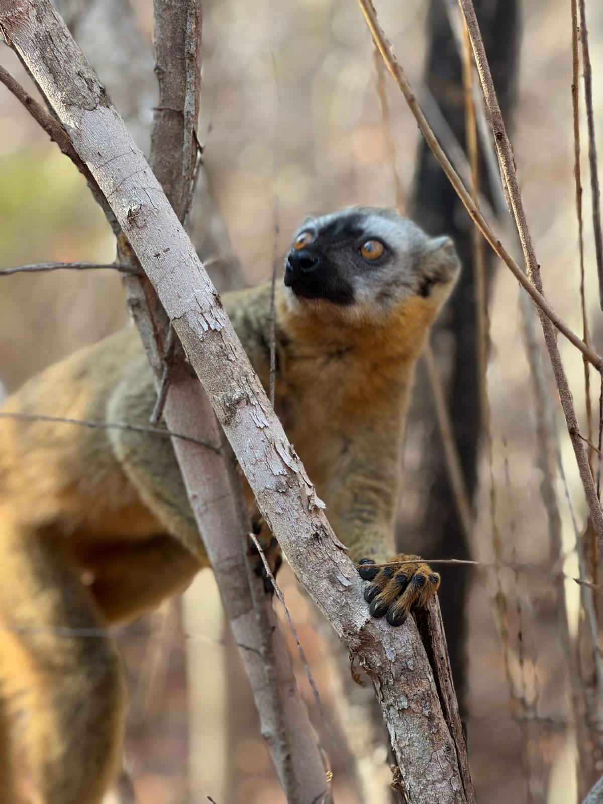 Descente sur Tsiribihina - Madagascar
